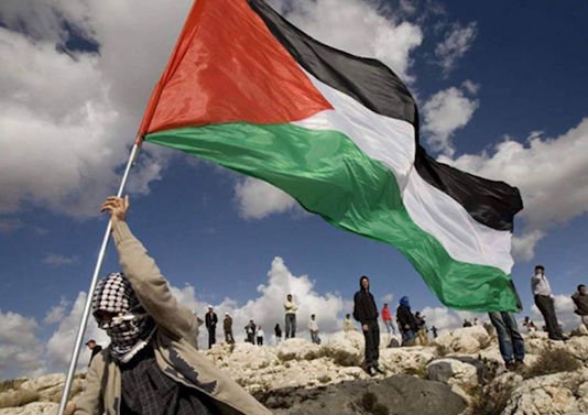 القضيَّة الفلسطينيَّة في مَناهج التَّعليم الجامعيّ المِصريّة – الجزء ا...