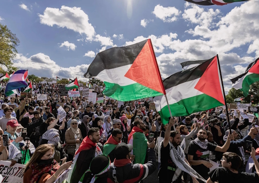القضيَّة الفلسطينيَّة في مَناهج التَّعليم الجامعيّ المِصريّة – الجزء ا...