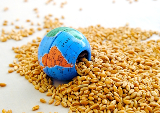 الأمن الغذائي وسيطرة الاحتكارات: الاحتواء الغذائي ودولة اللاسيادة