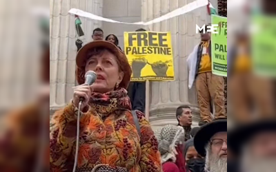 سوزان سارندون مناصرة الفلسطينيين وحقوق الإنسان