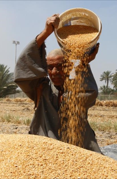 السيادة الغذائية في المنطقة العربية