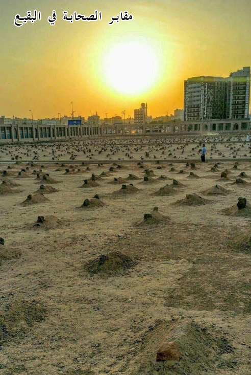 6- يغزوا الرجال ولا تغزو النساء