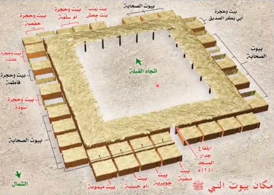 9- لما قضى زيد منها وطرًا: أمهات المؤمنين